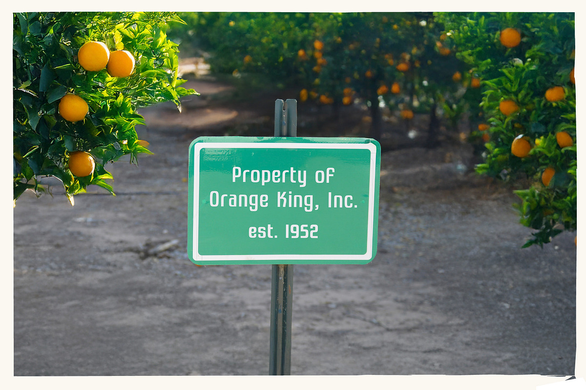 Grove 52 - Retro Agriculture Font, a Sans Serif Font by Parker Creative (Photo 7 of 10)