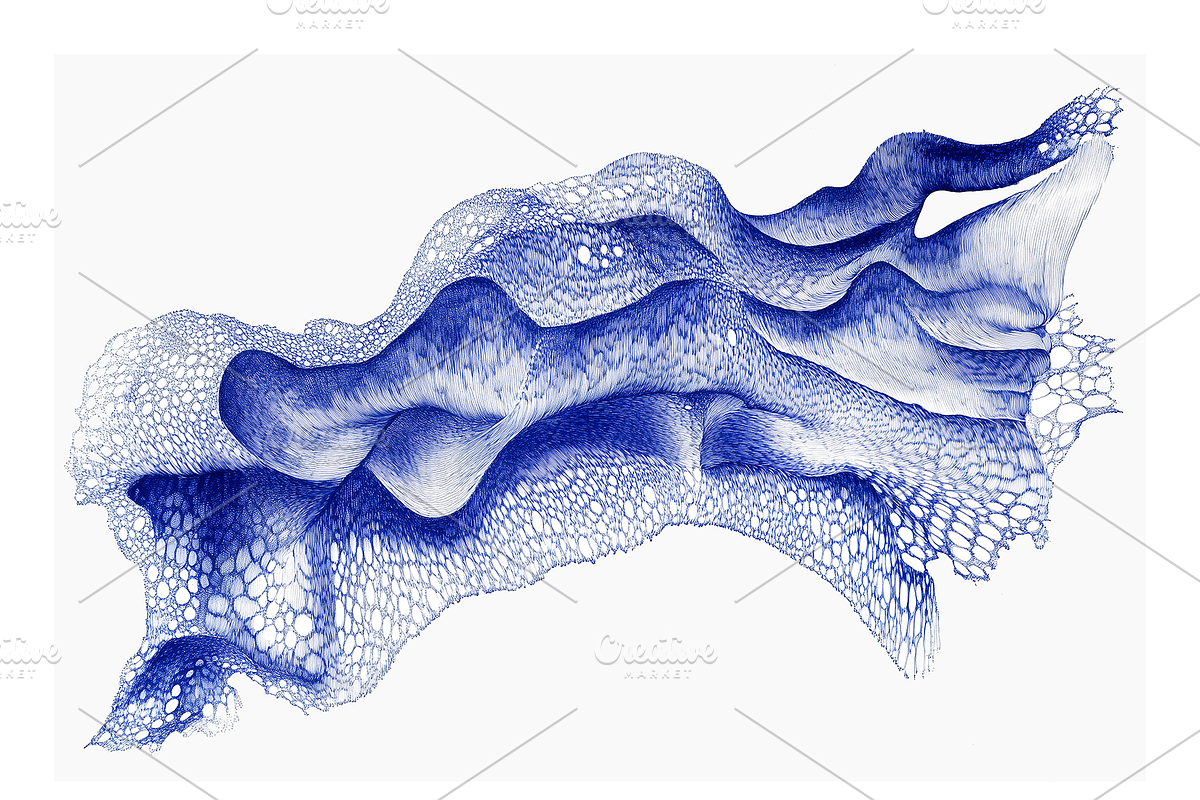 Bimo 2 Co. Organic Abstractions, a Texture Illustration by milatovar (Photo 7 of 20)
