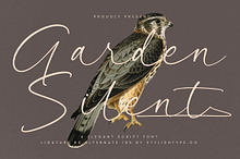 Garden Silent Elegant Script Font
