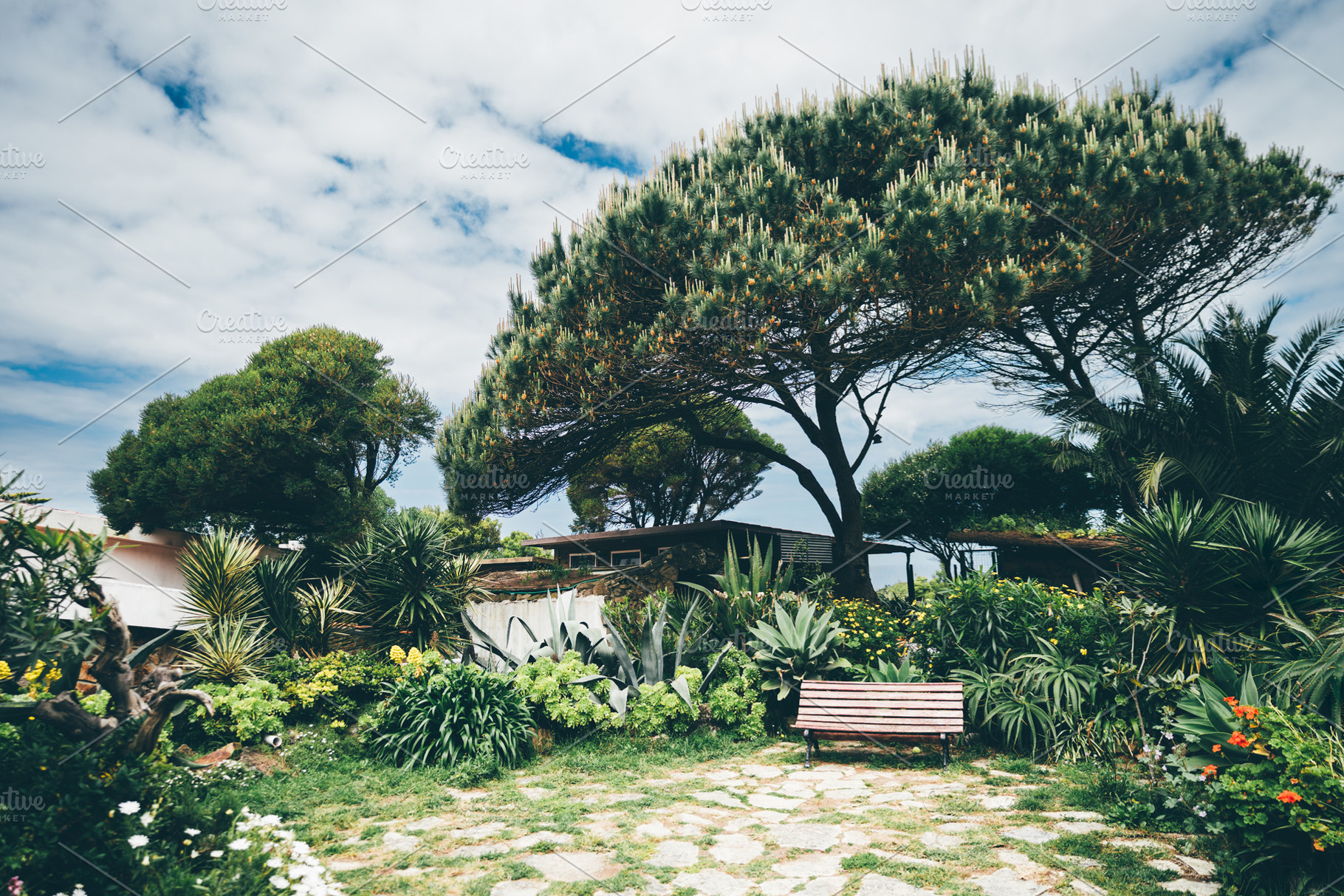 Bench in lush garden landscape, an Architecture Photo by SkyNext