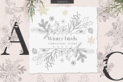 Winter birds. Christmas Story., a Seasonal Illustration by Designwork (Thumbnail 1 of 22)