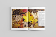 InDesign Multipurpose Magazine -V472, a Magazine Template by Template Shop (Thumbnail 13 of 19)