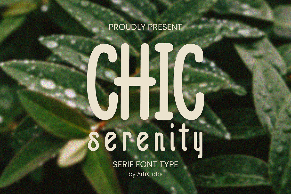 Chic Serenity - Serif Font Type, a Script Font by ArtiXLabs (Photo 1 of 11)