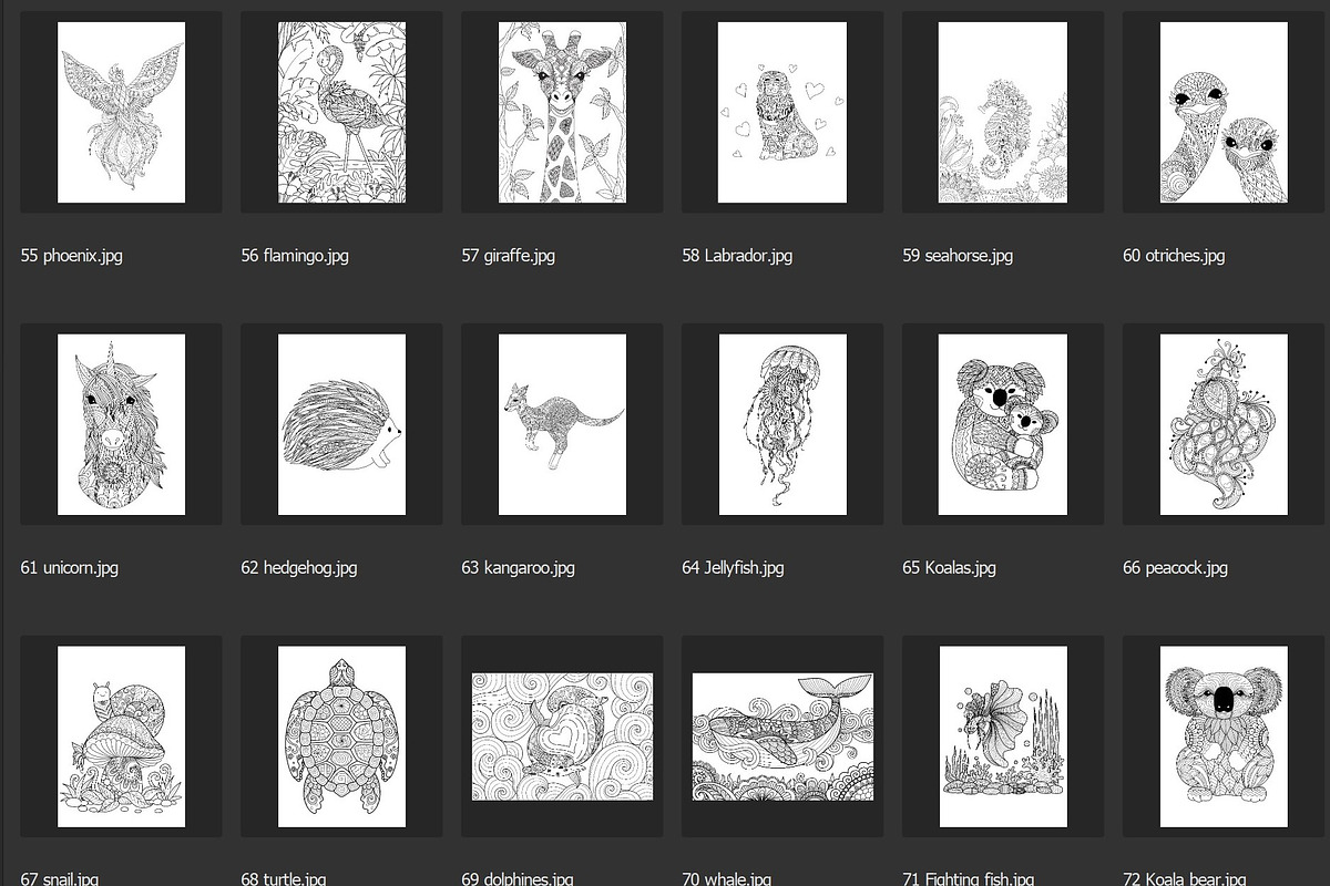 150 animals for adult coloring book, an Animal Illustration by Somjai King (Photo 5 of 10)