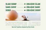 Necora – Multiple Axes Classic Font, a Serif Font by Drizy (Thumbnail 3 of 10)