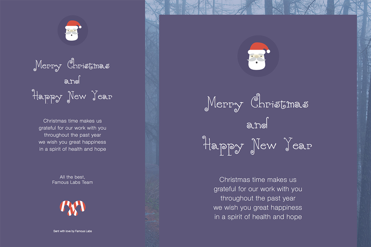 Christmas Email/eCard (HTML+DESIGNS), an Email Template by Hype UI (Photo 3 of 5)