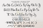 Delightfully, a Handwritten Font by FreshTypeINK (Thumbnail 8 of 8)