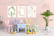 Watercolor Life Cycle Collection, an Education Illustration by MayaNavits (Thumbnail 2 of 15)