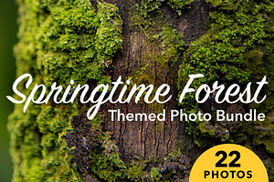 Forest Background Photo Bundle, a Nature Photo by kristiangallagher