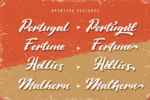 Vintage Style - Bold Script Font