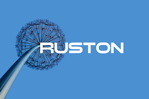 Auston Display