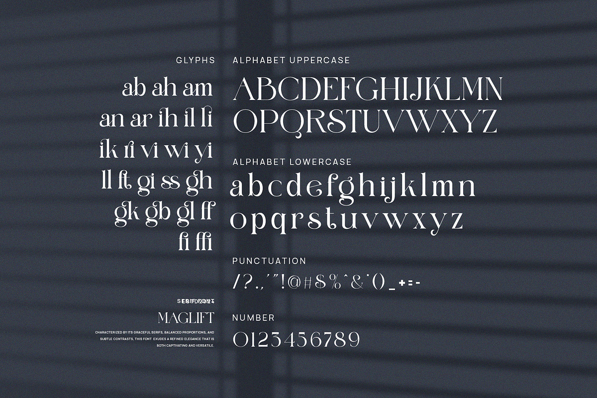 Maglift Elegant Serif Font, a Serif Font by Perfectype (Photo 8 of 8)