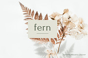 Wellness Natural Holistic Logo, a Branding & Logo Template by CreativeWilderness (Thumbnail 1 of 15)