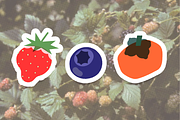 Organic Food Packaging Kit, a Food Illustration by Schumacher Shop (Thumbnail 20 of 25)