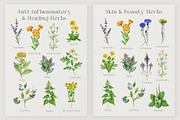 Herbal Apothecary Brand Kit, a Healthcare Illustration by AnitaPol (Thumbnail 13 of 18)