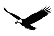 50 Flying Eagle Silhouette Vector Bu, an Illustration by Designs_River (Thumbnail 47 of 51)