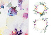 Watercolor floral collection, a Decorative Illustration by Vera●Suleimanova (Thumbnail 8 of 18)