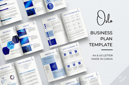 Professional Business Plan 35+ Pages