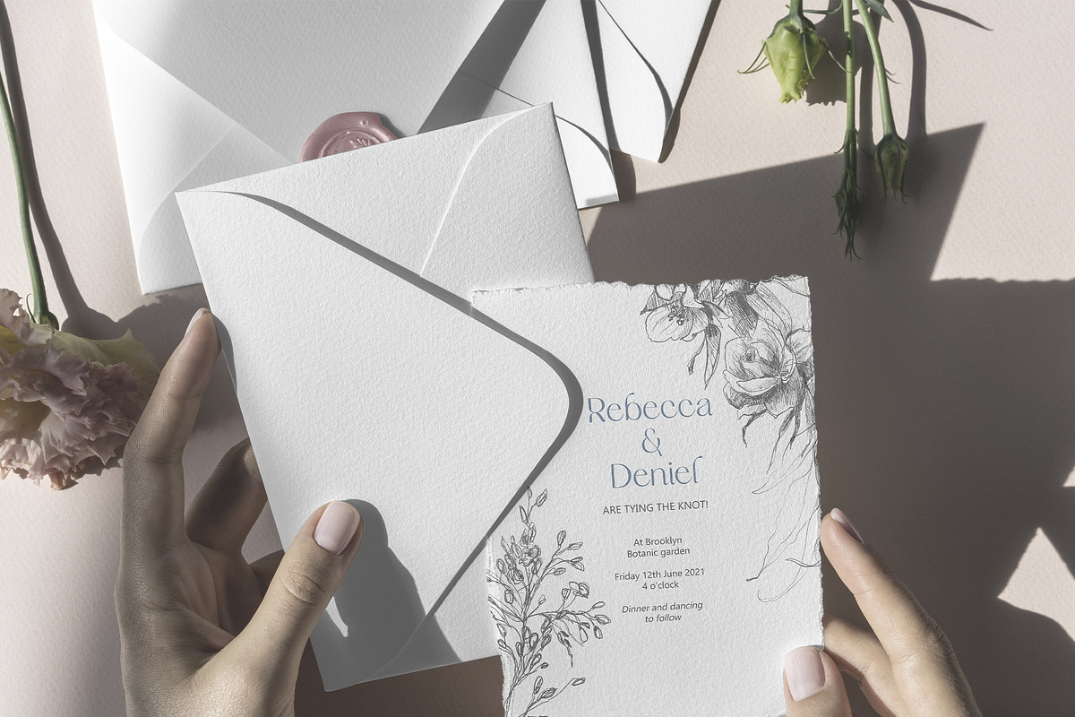 Botanical Line Art Collection, an Object Illustration by Colden Blue (Photo 9 of 10)