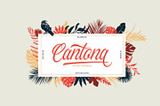 Gunstone Script, a Script Font by ngene (Thumbnail 3 of 10)