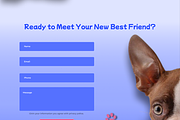Website for Animal Shelter, a Branding & Logo Template by WebDesignDaria (Thumbnail 3 of 4)