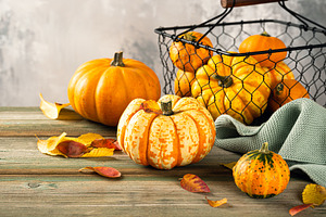 Autumn pumpkin thanksgiving featuring autumn, background, and squash