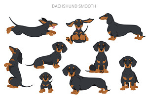 Dachshund Smooth Clipart