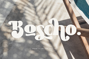 Boscho, a Symbol Font by Flawless And Co