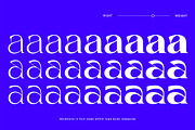 Calgera, a Serif Font by TRF Fonts (Thumbnail 11 of 16)