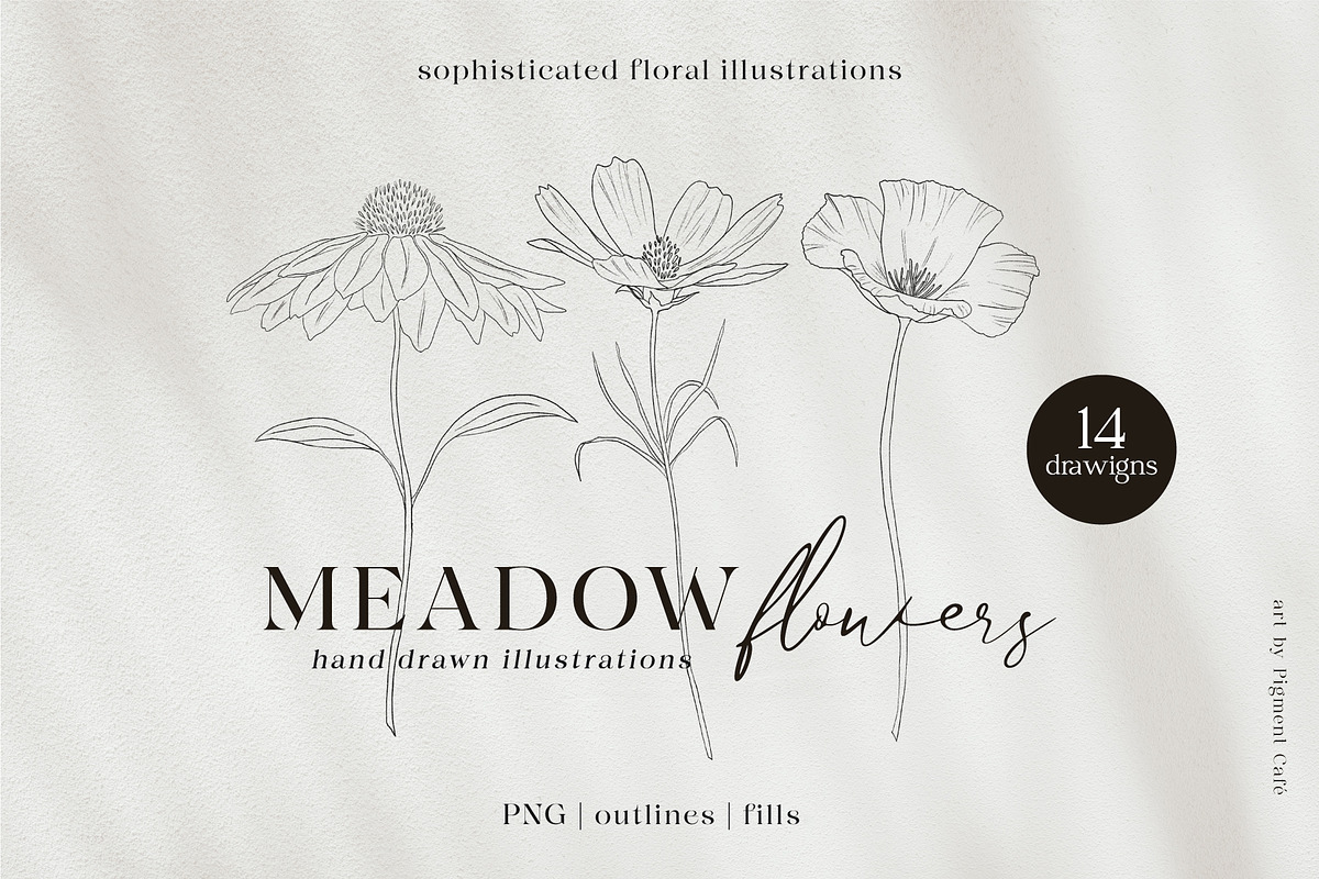 Meadow Flowers & Blooms Bundle, an Illustration by Pigment Café (Photo 1 of 9)