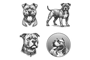 Pit Bull Dog engraving set vector, an Animal Illustration by AlexArt