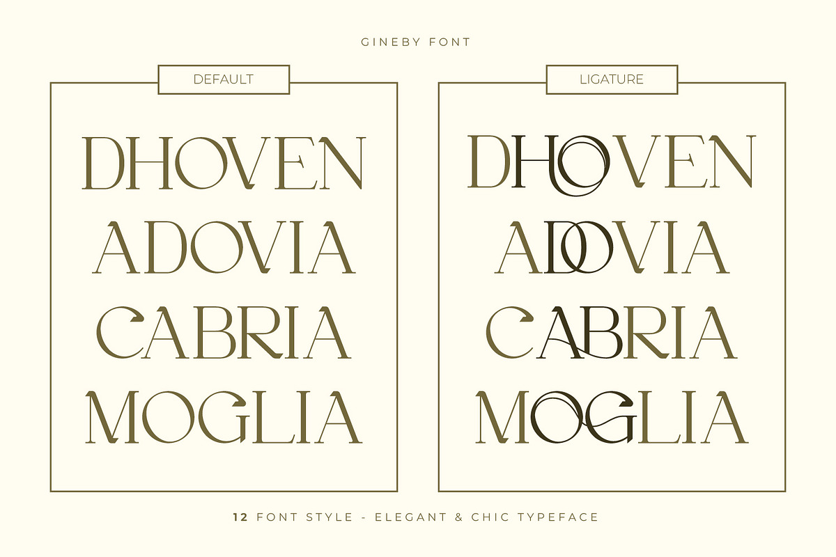 Gineby - Serif Typeface Font, a Serif Font by Rishsketch (Photo 5 of 16)