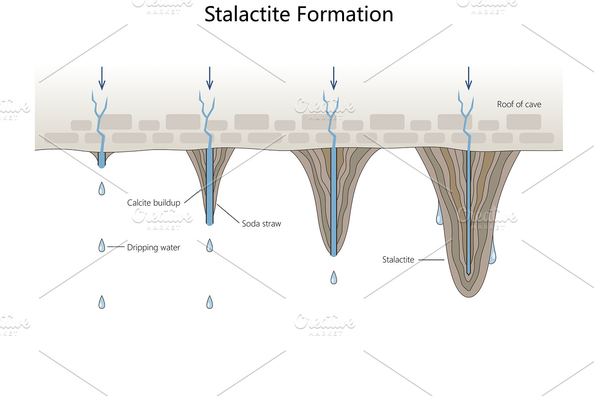 step-by-step stalactite formation in, an Illustration by AlexArt