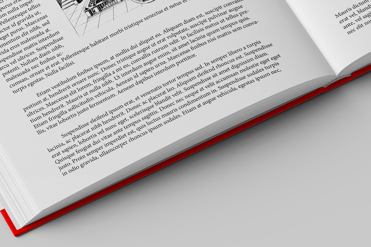 US Letter Book Mockup - 8 views, a Books & Magazine Mockup by Illusiongraphic (Photo 21 of 22)