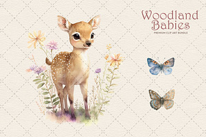 Woodland Animals