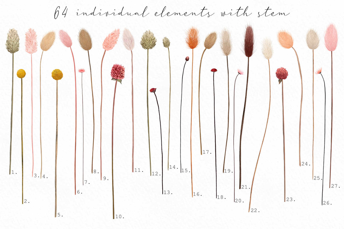 Big romantic dried flower set, a Texture Illustration by marie dricot (Photo 12 of 18)