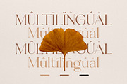 CHLARA | Modern Ligature Serif, a Sans Serif Font by Krismagraph (Thumbnail 12 of 12)