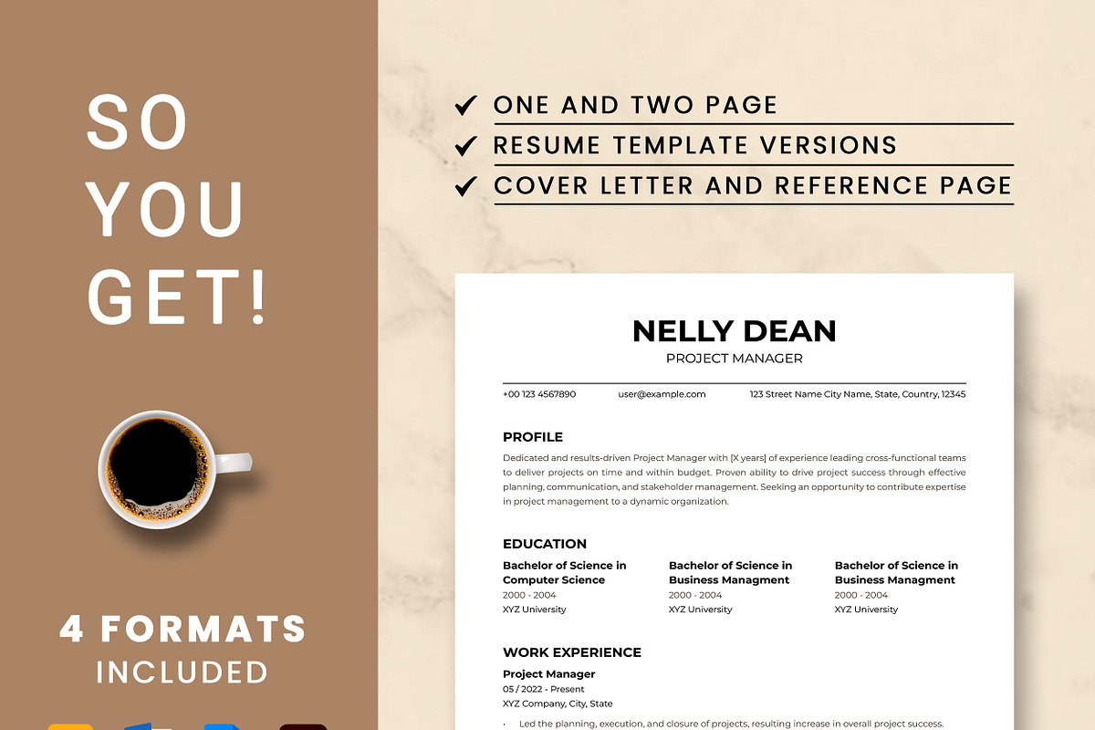 Project Manager Resume Template preview 8