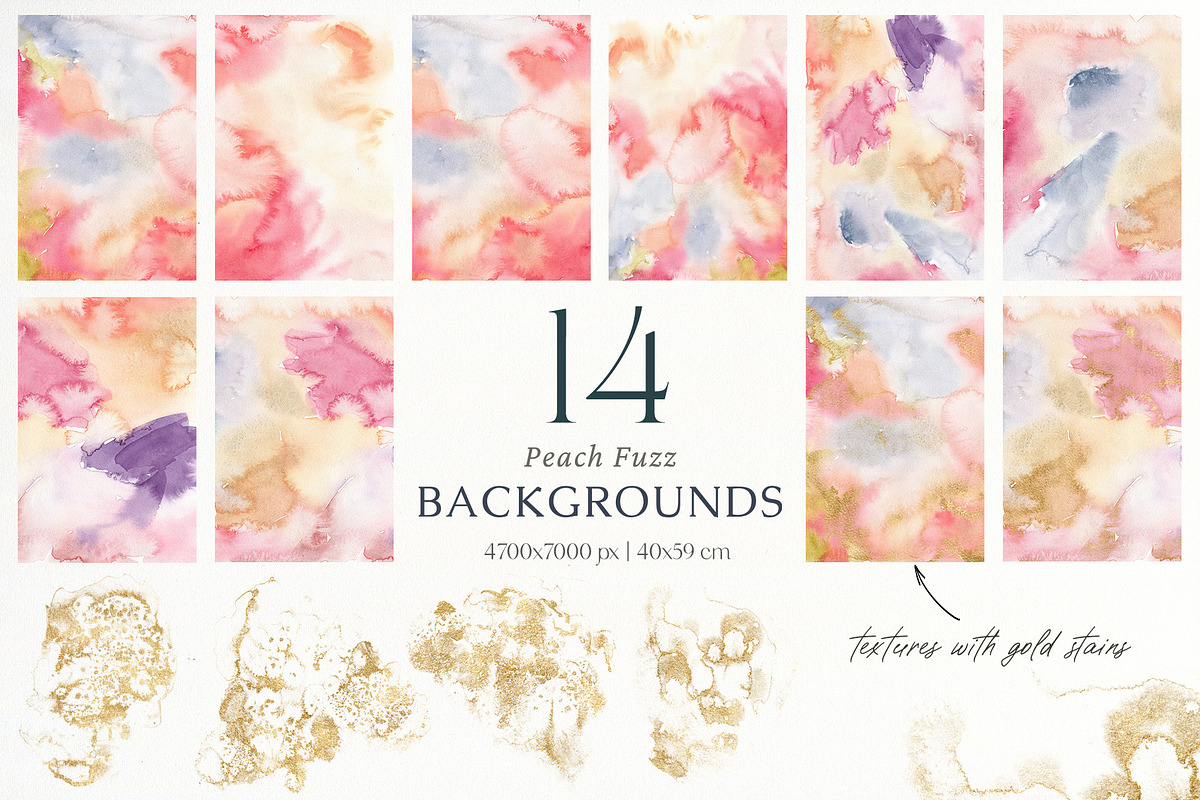 Wildflowers watercolor flowers birds, a Decorative Illustration by Yuliya Derbisheva (Photo 13 of 14)