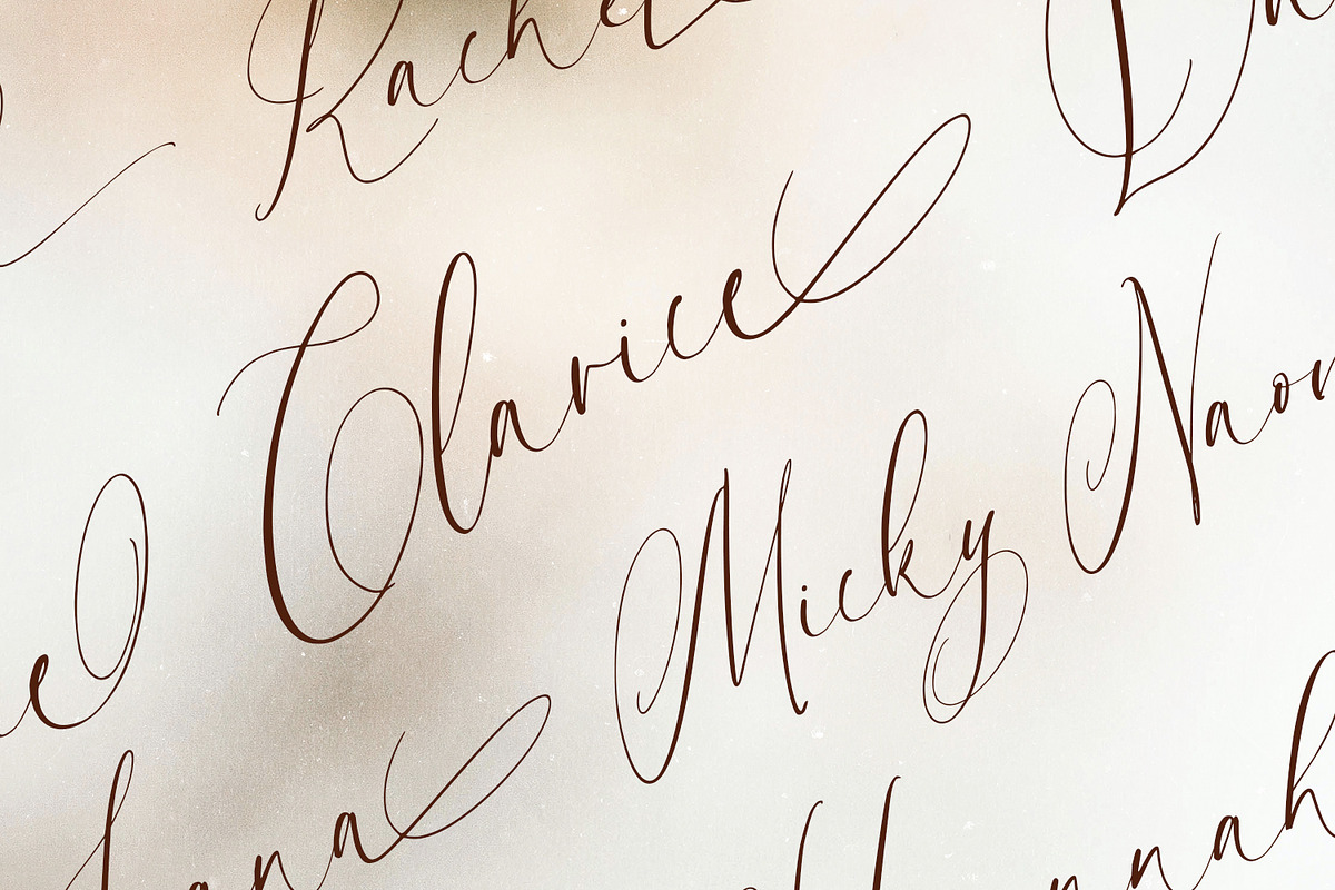 Brown Amsonia, a Script Font by Nathatype (Photo 2 of 10)