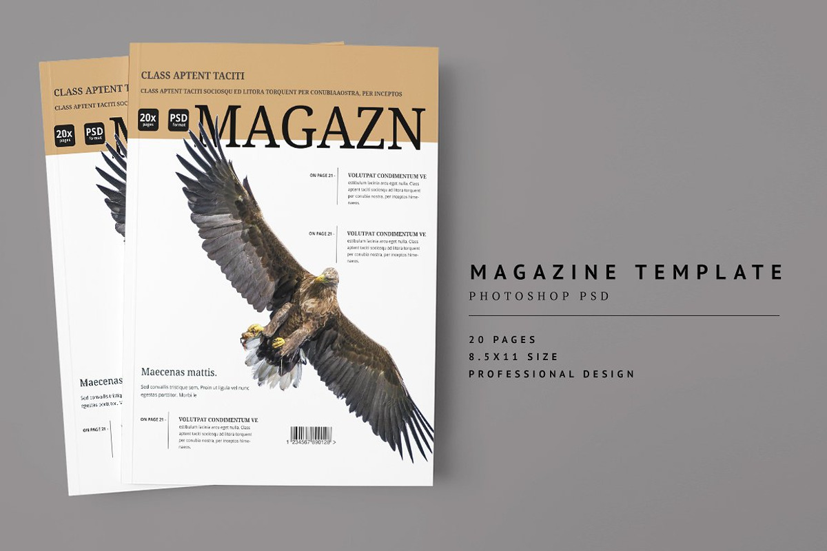 2000+ Magazine Bundle - 97% Off, a Magazine Template by pmvch (Photo 16 of 70)
