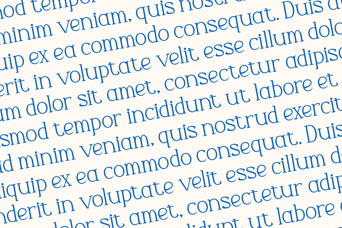 Cavallus - Serif Typeface Font, a Serif Font by Rishsketch (Photo 14 of 15)