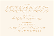Martigale A Modern Calligraphy Font, a Script Font by Storytype Studio (Thumbnail 11 of 12)