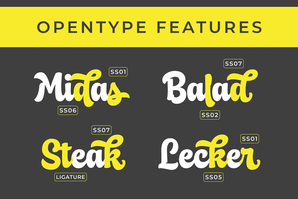 Leicester Script, a Script Font by hastatypestd (Photo 2 of 8)