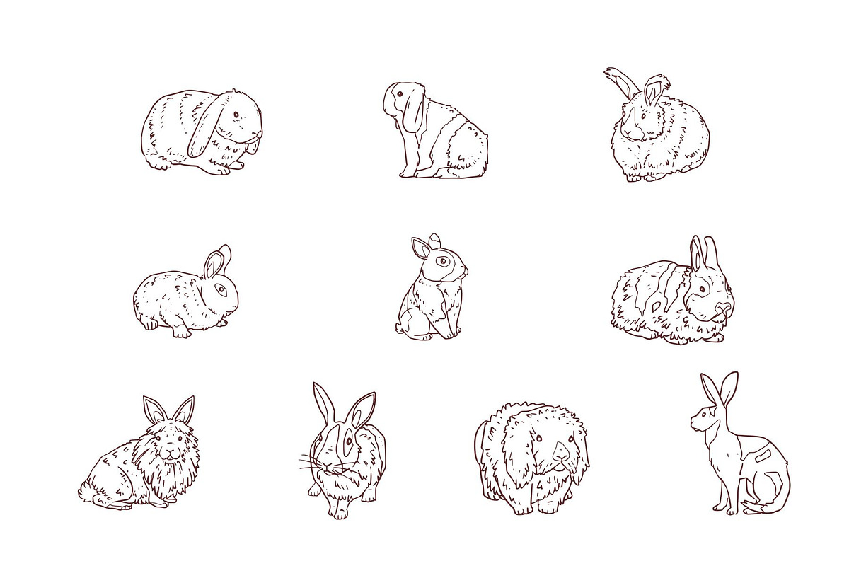 Breeds Rabbit Handdrawn Vol 2, an Animal Illustration by SLAB! Design (Photo 2 of 3)