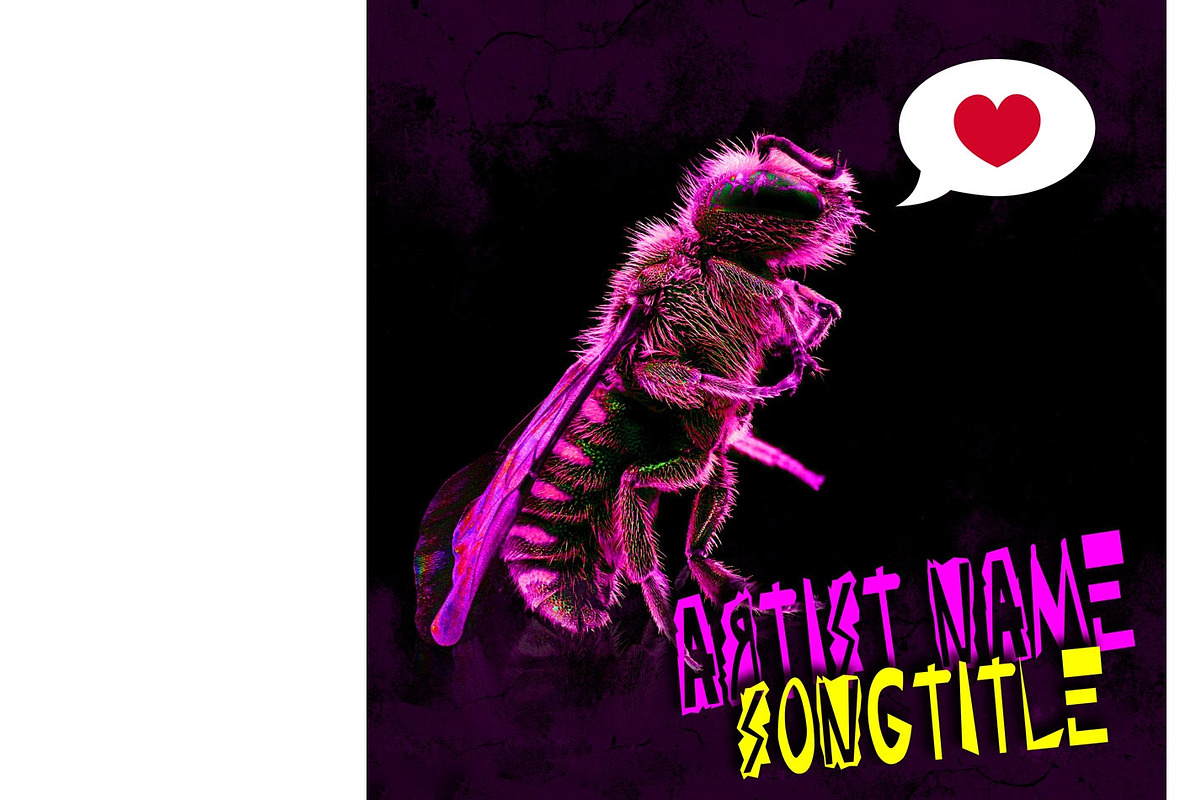 Song Album Cover Template Fly #014, a Design Template by Cover Album Template