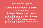Brojack Bold Retro Serif Font, a Serif Font by Heinzel Std (Thumbnail 11 of 13)