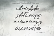 Star Mode Modern Expressive Script, a Script Font by AnMark (Thumbnail 7 of 13)