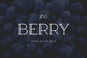 Berry Slab Serif Font, a Slab Serif Font by Graphicdome (Thumbnail 1 of 9)