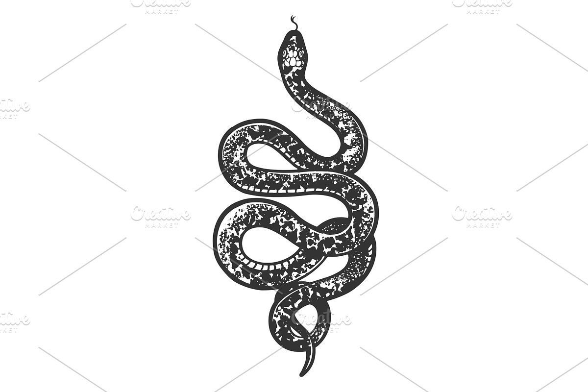 Snake tattoo sketch vector, an Animal Illustration by AlexArt